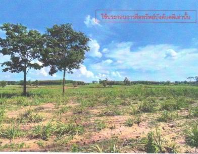 ขายทอดตลาด ที่ดินว่างเปล่า ต.คำสร้างเที่ยง อ.สามชัย จ.กาฬสินธุ์