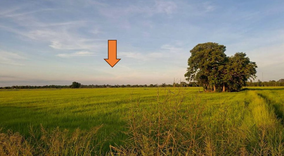 ขายทอดตลาด ที่ดินว่างเปล่า จ.บุรีรัมย์