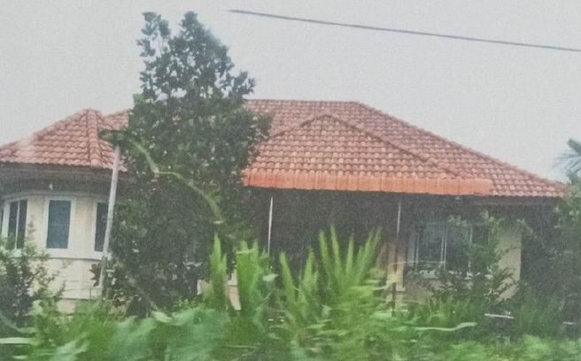 ขายทอดตลาด ที่ดินพร้อมสิ่งปลูกสร้าง ต.บ้านใหม่ อ.เมืองพะเยา จ.พะเยา