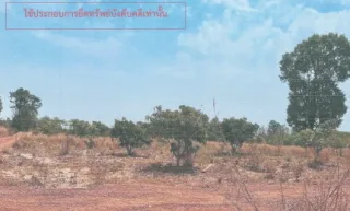 รูปทรัพย์ 1