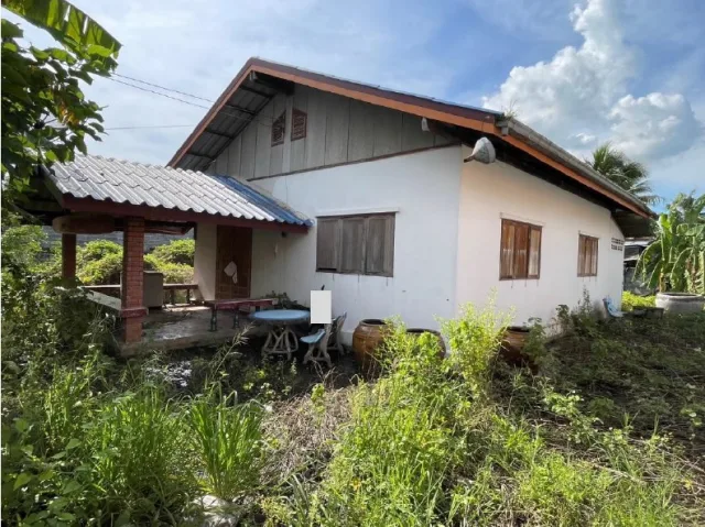 ขายทอดตลาด ที่ดินพร้อมสิ่งปลูกสร้าง ต.เมืองฝาง อ.เมืองบุรีรัมย์ จ.บุรีรัมย์