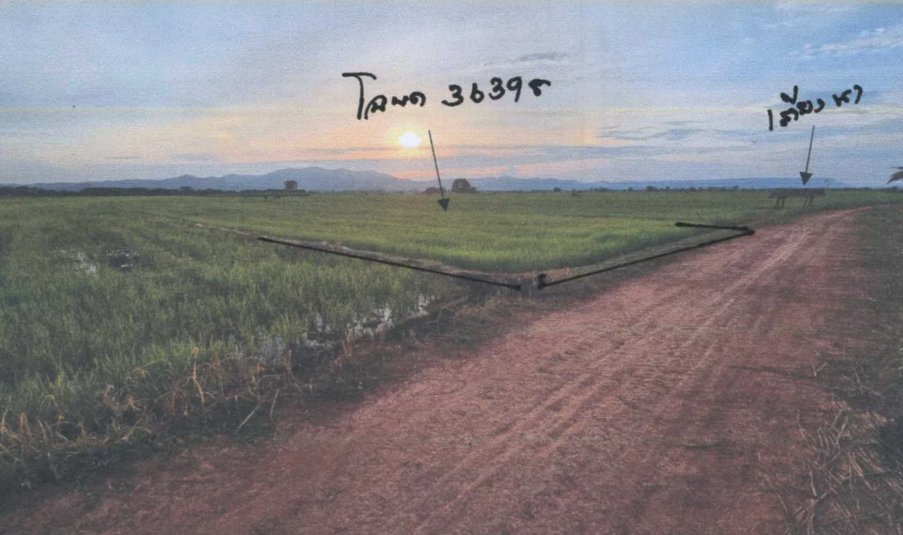 ขายทอดตลาด ที่ดินว่างเปล่า จ.พะเยา