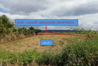 รูปทรัพย์ 3