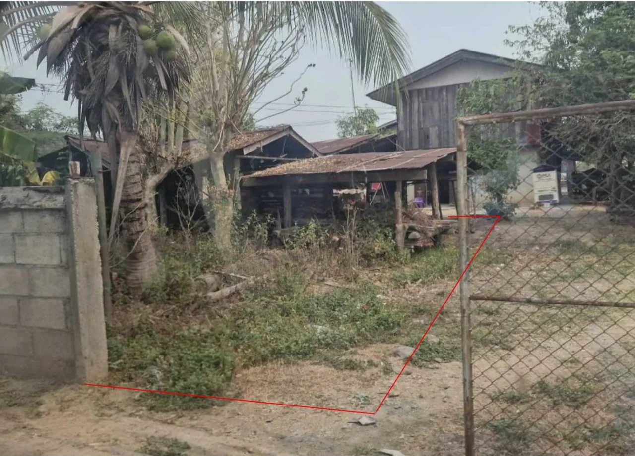 ขายทอดตลาด ที่ดินพร้อมสิ่งปลูกสร้าง ต.ป่าซาง อ.ดอกคำใต้ จ.พะเยา