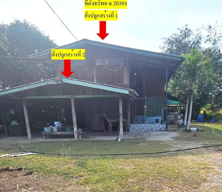 ขายทอดตลาด ที่ดินพร้อมสิ่งปลูกสร้าง ต.ดอนหญ้านาง อ.ภาชี จ.พระนครศรีอยุธยา
