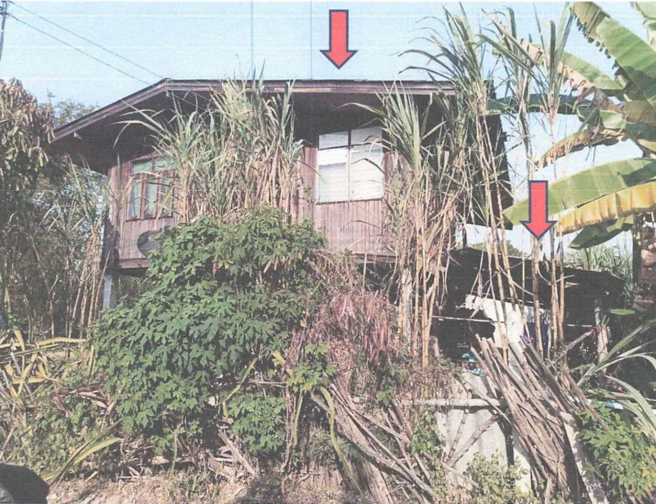 ขายทอดตลาด ที่ดินพร้อมสิ่งปลูกสร้าง ต.บ้านถ้ำ อ.ดอกคำใต้ จ.พะเยา