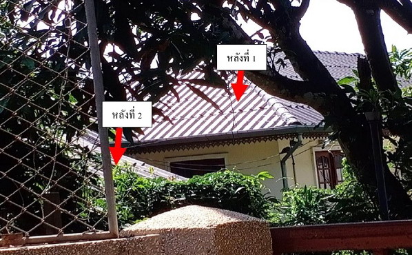 ขายทอดตลาด ที่ดินพร้อมสิ่งปลูกสร้าง ต.ท่าวังทอง อ.เมืองพะเยา จ.พะเยา