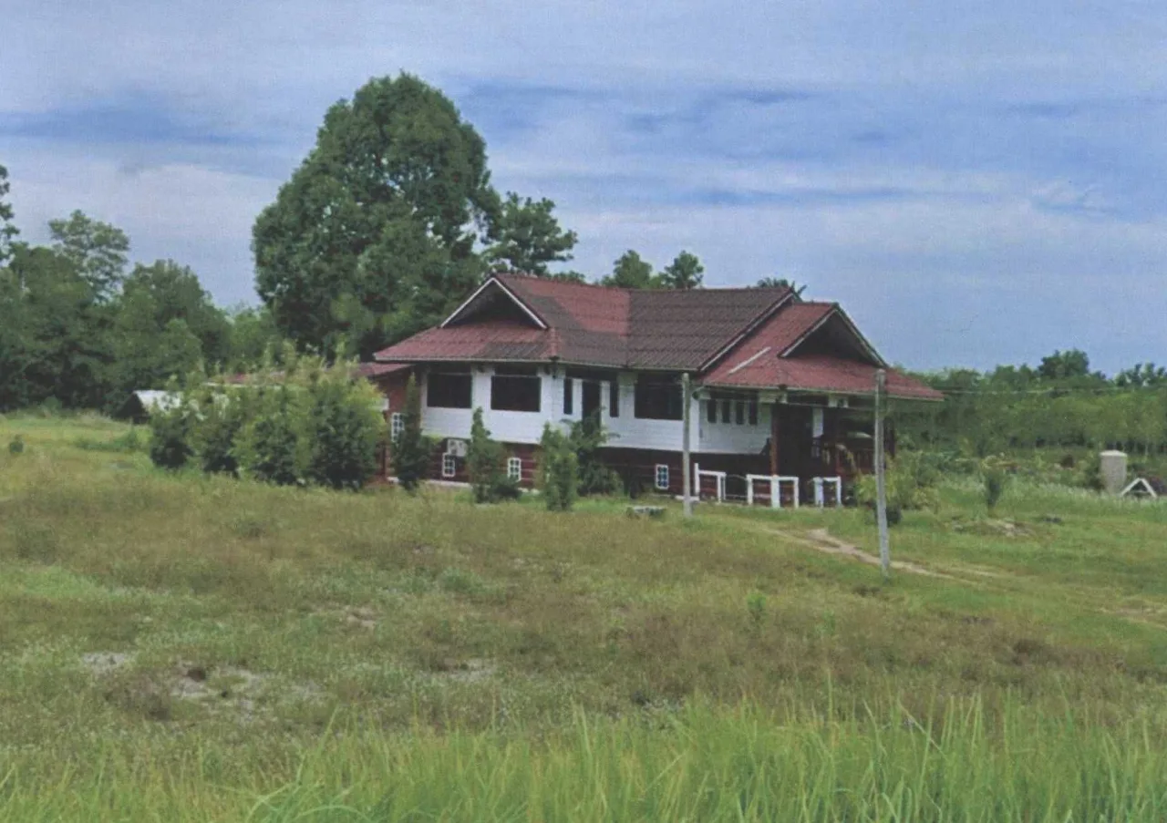 ขายทอดตลาด ที่ดินพร้อมสิ่งปลูกสร้าง ต.ตาลีอายร์ อ.ยะหริ่ง จ.ปัตตานี
