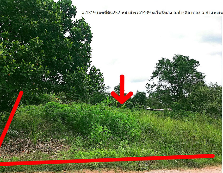 ขายทอดตลาด ที่ดินว่างเปล่า ต.โพธิ์ทอง อ.ปางศิลาทอง จ.กำแพงเพชร