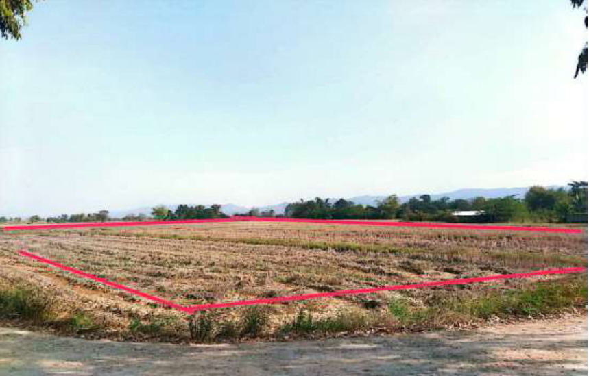 ขายทอดตลาด ที่ดินว่างเปล่า ต.สันโค้ง อ.ดอกคำใต้ จ.พะเยา