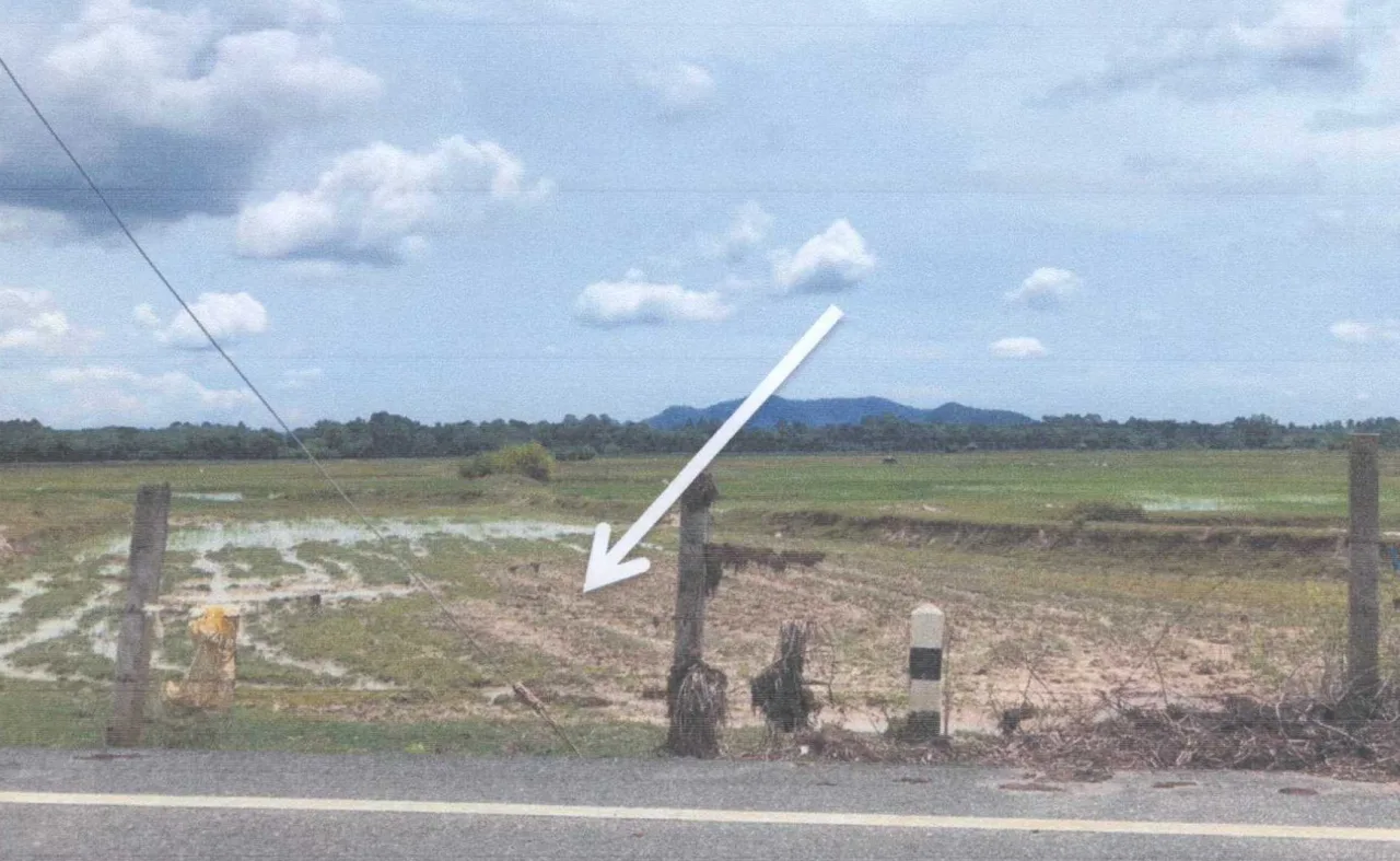ขายทอดตลาด ที่ดินว่างเปล่า ต.น้ำดำ อ.ทุ่งยางแดง จ.ปัตตานี