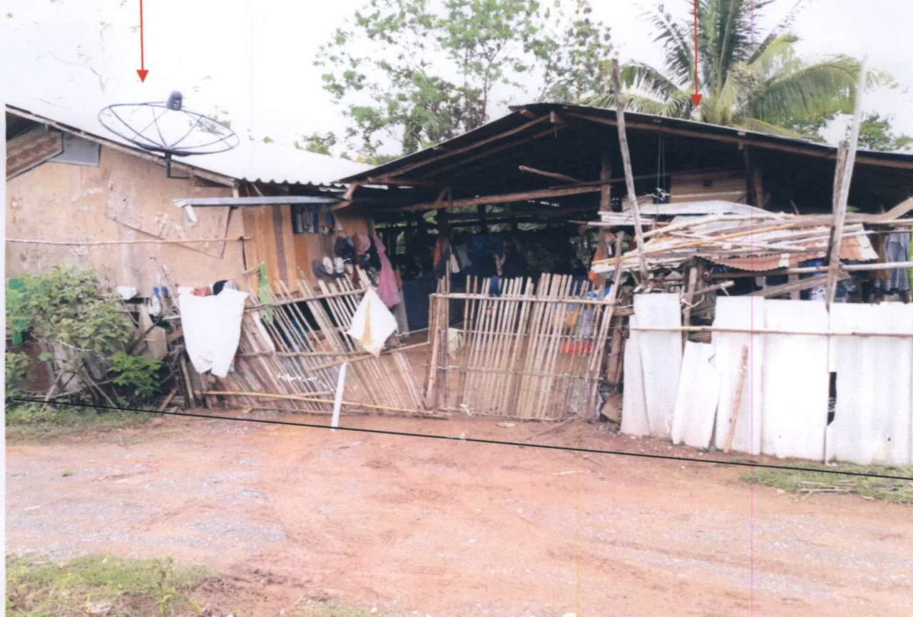 ขายทอดตลาด ที่ดินพร้อมสิ่งปลูกสร้าง ต.บ้านถ้ำ อ.ดอกคำใต้ จ.พะเยา
