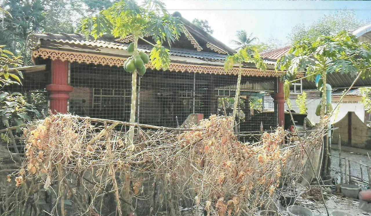 ขายทอดตลาด ที่ดินพร้อมสิ่งปลูกสร้าง ต.ปากู อ.ทุ่งยางแดง จ.ปัตตานี