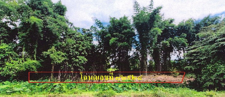 ขายทอดตลาด ที่ดินว่างเปล่า ต.บ้านใหม่ อ.เมืองพะเยา จ.พะเยา