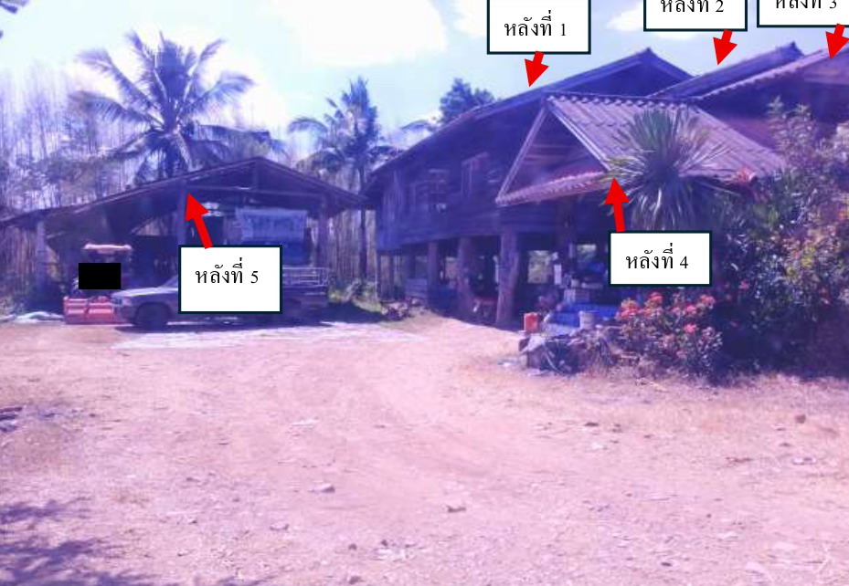 ขายทอดตลาด ที่ดินพร้อมสิ่งปลูกสร้าง ต.เชียงม่วน อ.เชียงม่วน จ.พะเยา