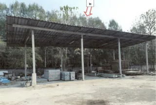 รูปทรัพย์ 3