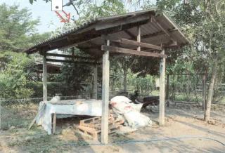 รูปทรัพย์ 8