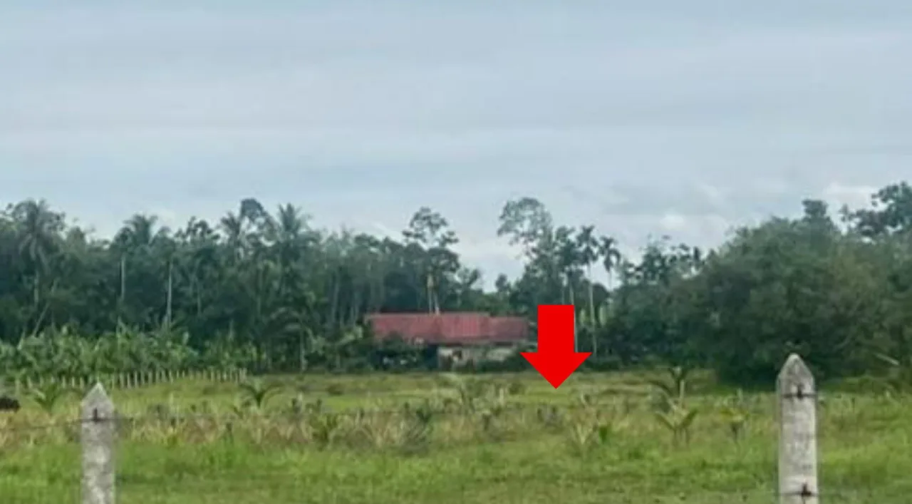 ขายทอดตลาด ที่ดินว่างเปล่า ต.ปากล่อ อ.โคกโพธิ์ จ.ปัตตานี