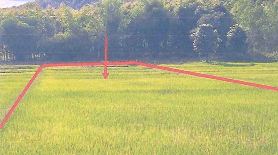 ขายทอดตลาด ที่ดินว่างเปล่า ต.ดงเจน อ.ภูกามยาว จ.พะเยา