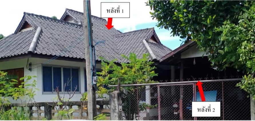 ขายทอดตลาด ที่ดินพร้อมสิ่งปลูกสร้าง ต.บ้านถ้ำ อ.ดอกคำใต้ จ.พะเยา