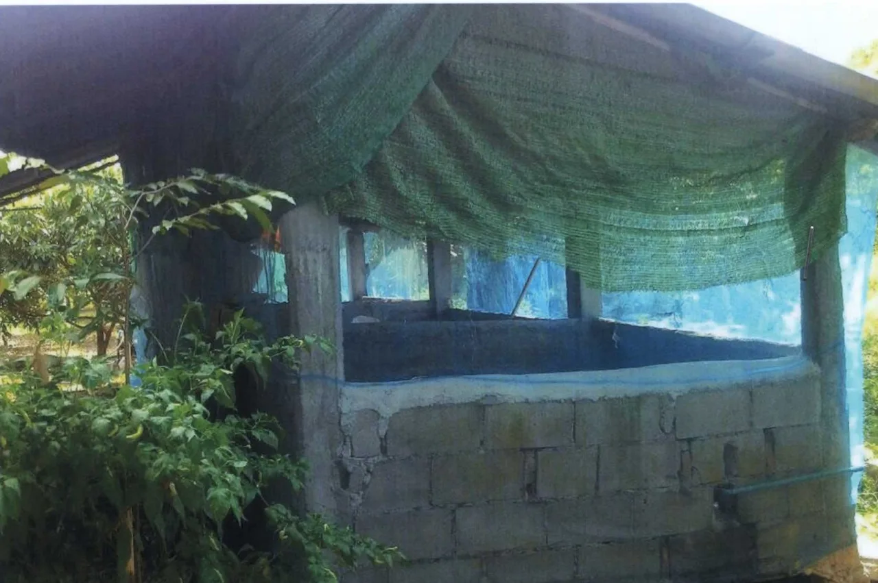 ขายทอดตลาด ที่ดินพร้อมสิ่งปลูกสร้าง ต.ลอ อ.จุน จ.พะเยา