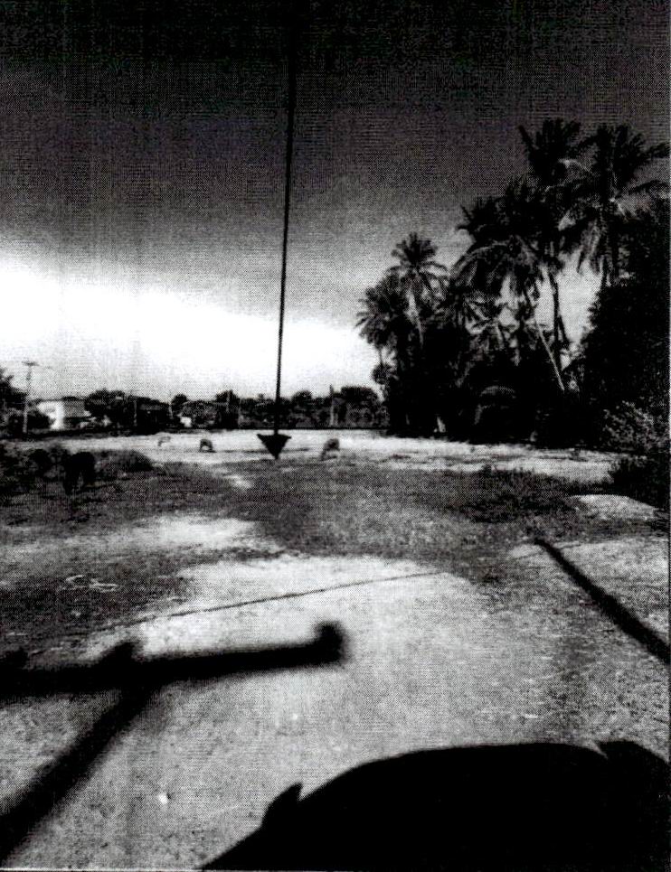 ขายทอดตลาด ที่ดินว่างเปล่า ต.วังไคร้ อ.ท่ายาง จ.เพชรบุรี