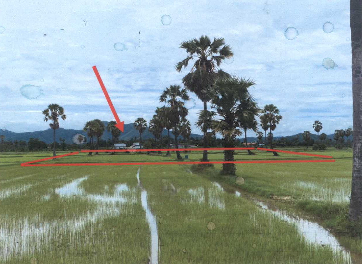 ขายทอดตลาด ที่ดินว่างเปล่า ต.ไร่โคก อ.บ้านลาด จ.เพชรบุรี
