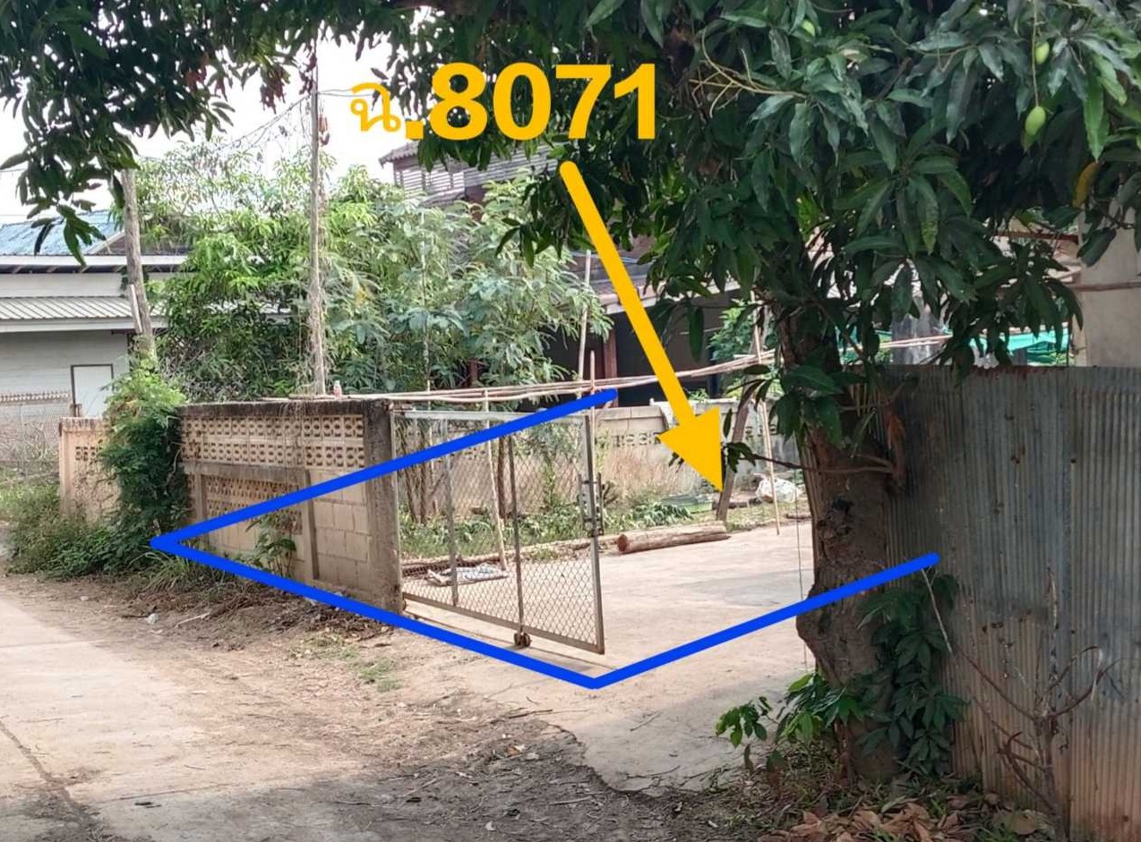 ขายทอดตลาด ที่ดินว่างเปล่า ต.เชียงม่วน อ.เชียงม่วน จ.พะเยา