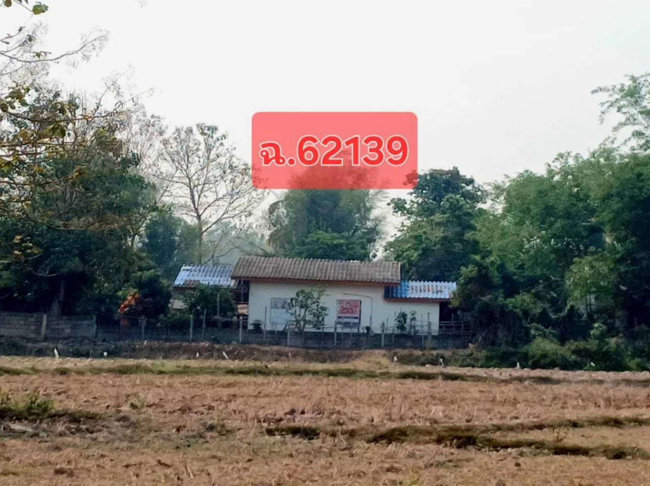 ขายทอดตลาด ที่ดินพร้อมสิ่งปลูกสร้าง ต.บ้านต๊ำ อ.เมืองพะเยา จ.พะเยา