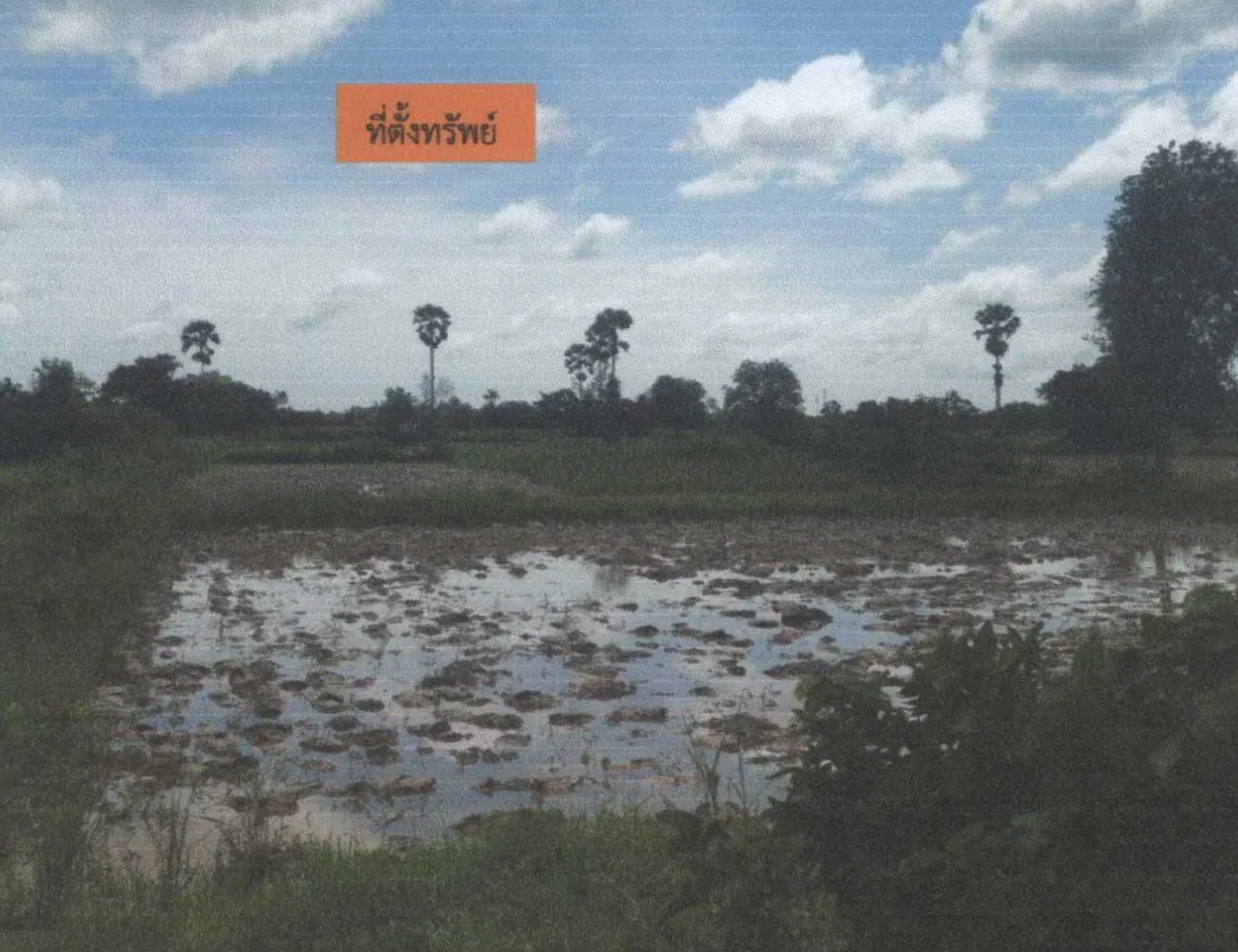 ขายทอดตลาด ที่ดินว่างเปล่า ต.ตรัง อ.มายอ จ.ปัตตานี