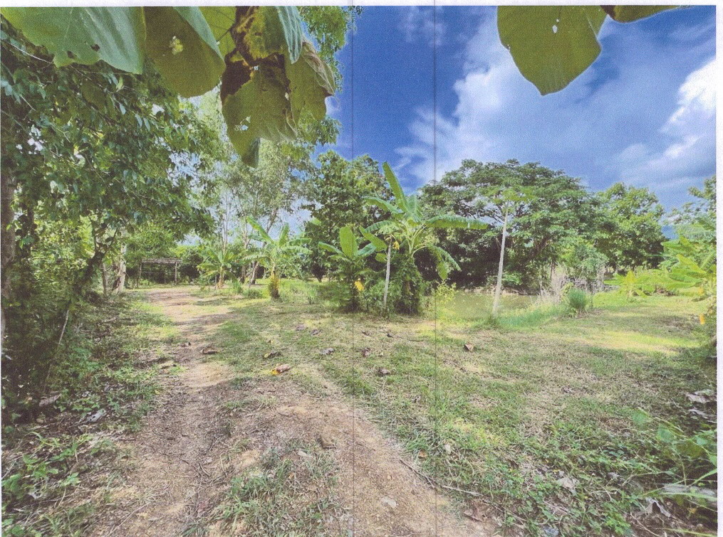 ขายทอดตลาด ที่ดินว่างเปล่า ต.ดงสุวรรณ อ.ดอกคำใต้ จ.พะเยา