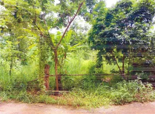 รูปทรัพย์ 1