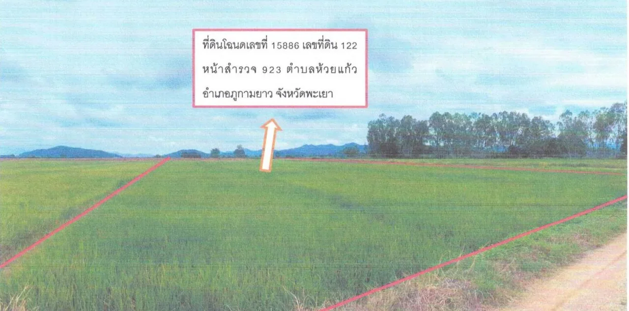 ขายทอดตลาด ที่ดินว่างเปล่า ต.ห้วยแก้ว อ.ภูกามยาว จ.พะเยา