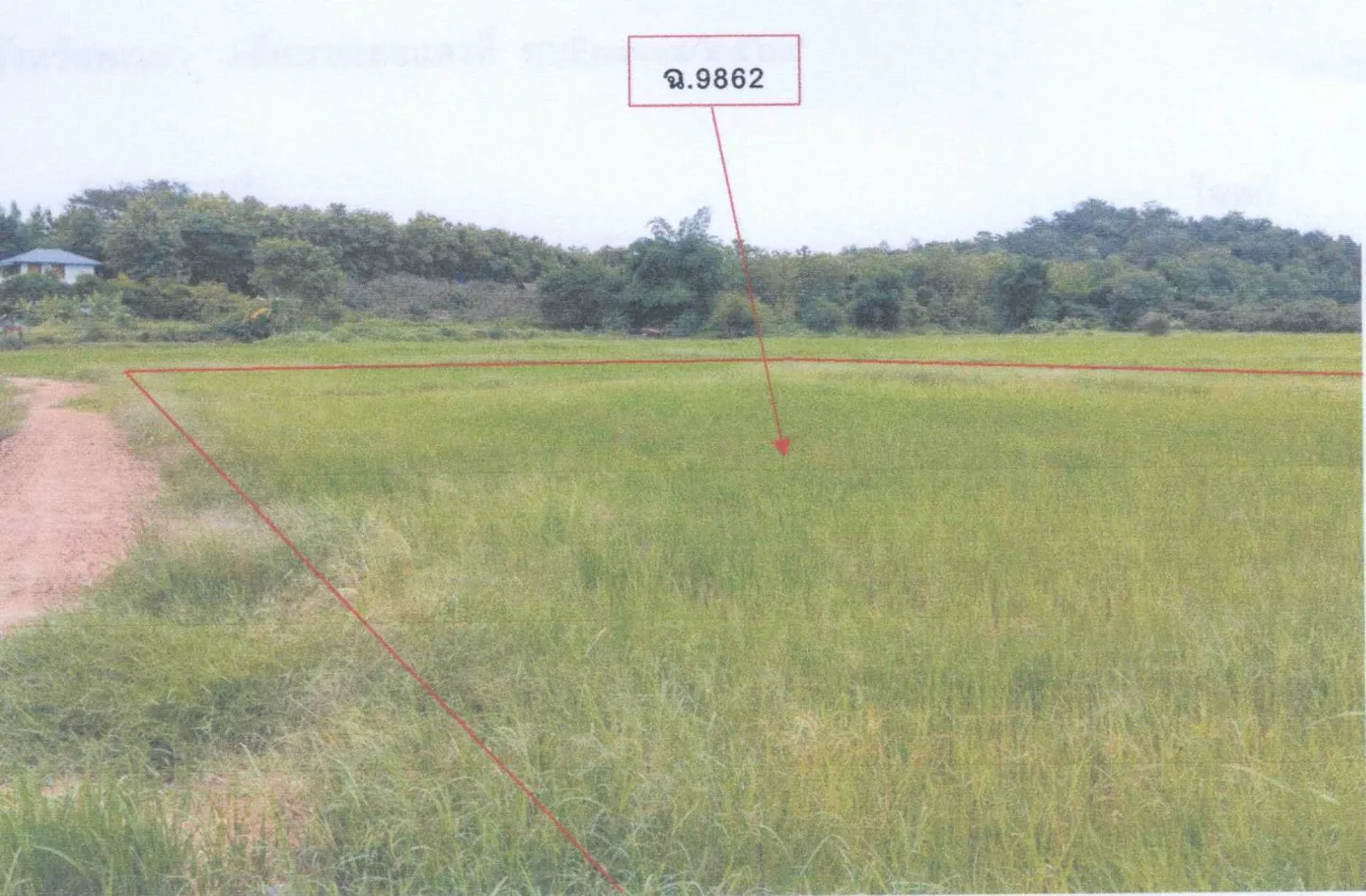ขายทอดตลาด ที่ดินว่างเปล่า จ.พะเยา