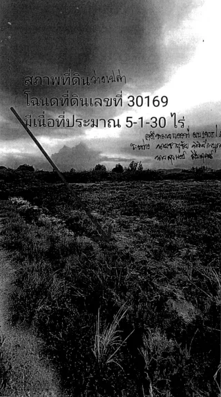 รูปทรัพย์ 3