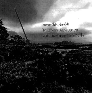 รูปทรัพย์ 4