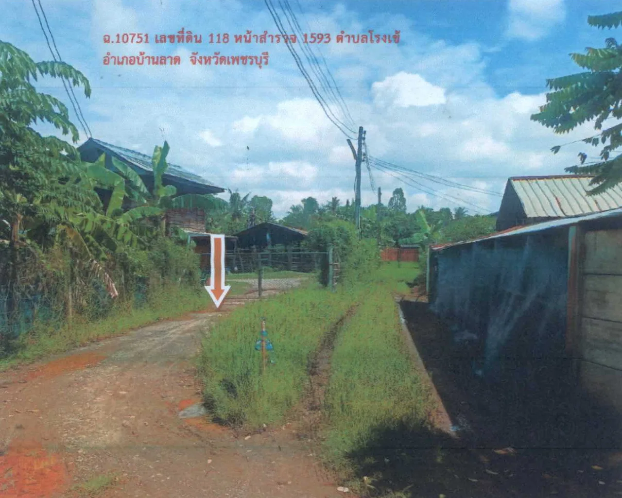 ขายทอดตลาด ที่ดินว่างเปล่า ต.โรงเข้ อ.บ้านลาด จ.เพชรบุรี