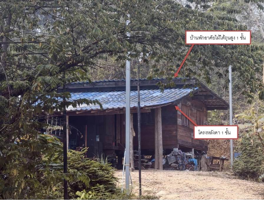 ขายทอดตลาด ที่ดินพร้อมสิ่งปลูกสร้าง ต.ออย อ.ปง จ.พะเยา