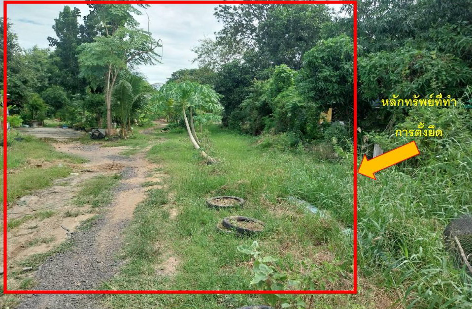 ขายทอดตลาด ที่ดินว่างเปล่า ต.โคกม่วง อ.ภาชี จ.พระนครศรีอยุธยา