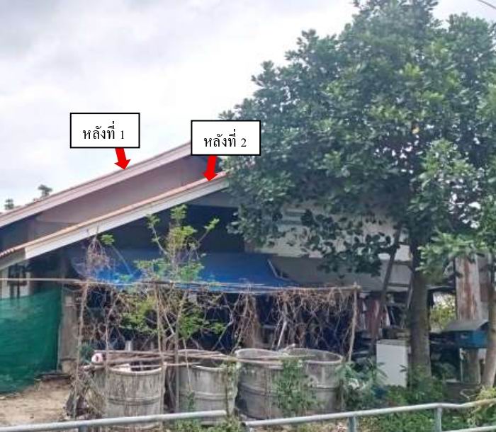 ขายทอดตลาด ที่ดินพร้อมสิ่งปลูกสร้าง ต.ดอนศรีชุม อ.ดอกคำใต้ จ.พะเยา