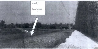รูปทรัพย์ 2