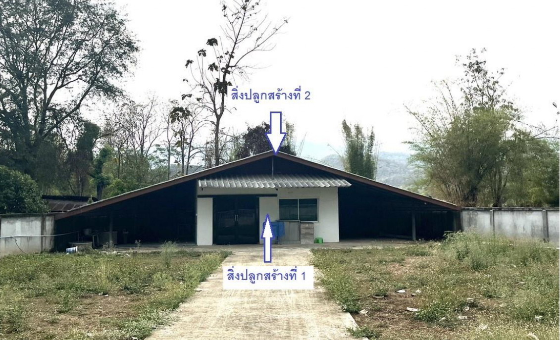 ขายทอดตลาด ที่ดินพร้อมสิ่งปลูกสร้าง ต.แม่นาเรือ อ.เมืองพะเยา จ.พะเยา