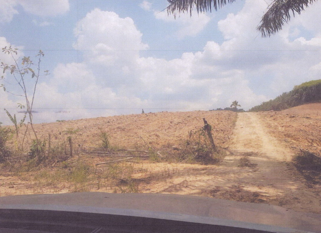 ขายทอดตลาด ที่ดินว่างเปล่า ต.ดินแดง อ.ลำทับ จ.กระบี่