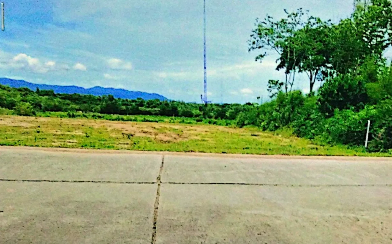 ขายทอดตลาด ที่ดินว่างเปล่า ต.กลัดหลวง อ.ท่ายาง จ.เพชรบุรี