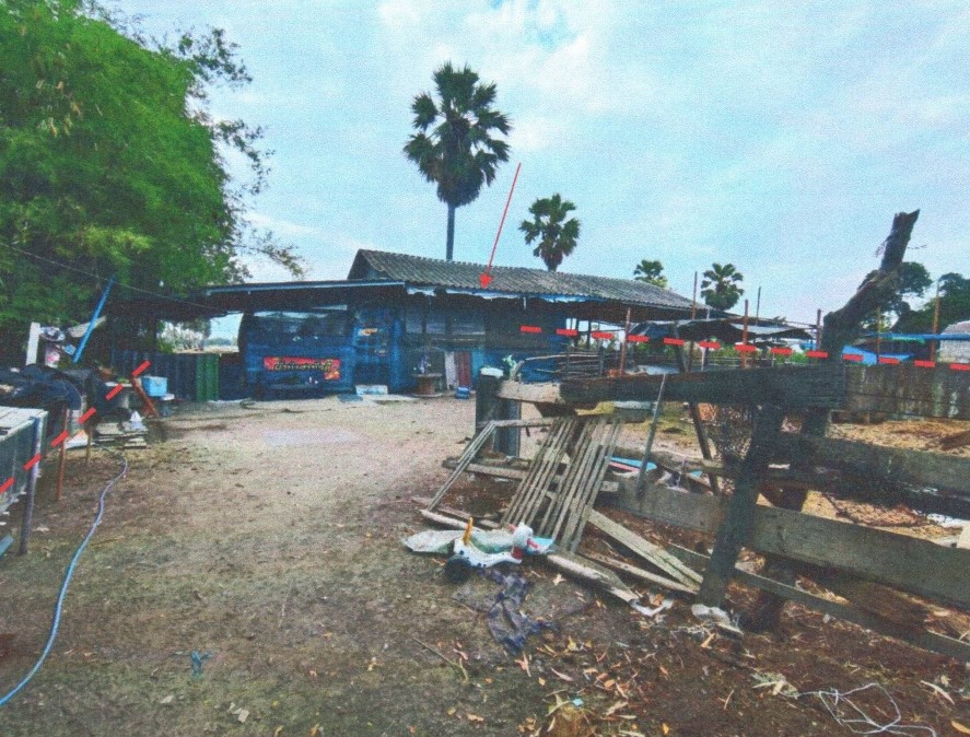 ขายทอดตลาด ที่ดินพร้อมสิ่งปลูกสร้าง ต.ช่องสะแก อ.เมืองเพชรบุรี จ.เพชรบุรี