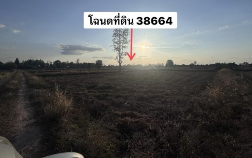 ขายทอดตลาด ที่ดินว่างเปล่า ต.ตะลุโบะ อ.เมืองปัตตานี จ.ปัตตานี