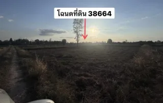 รูปทรัพย์ 1