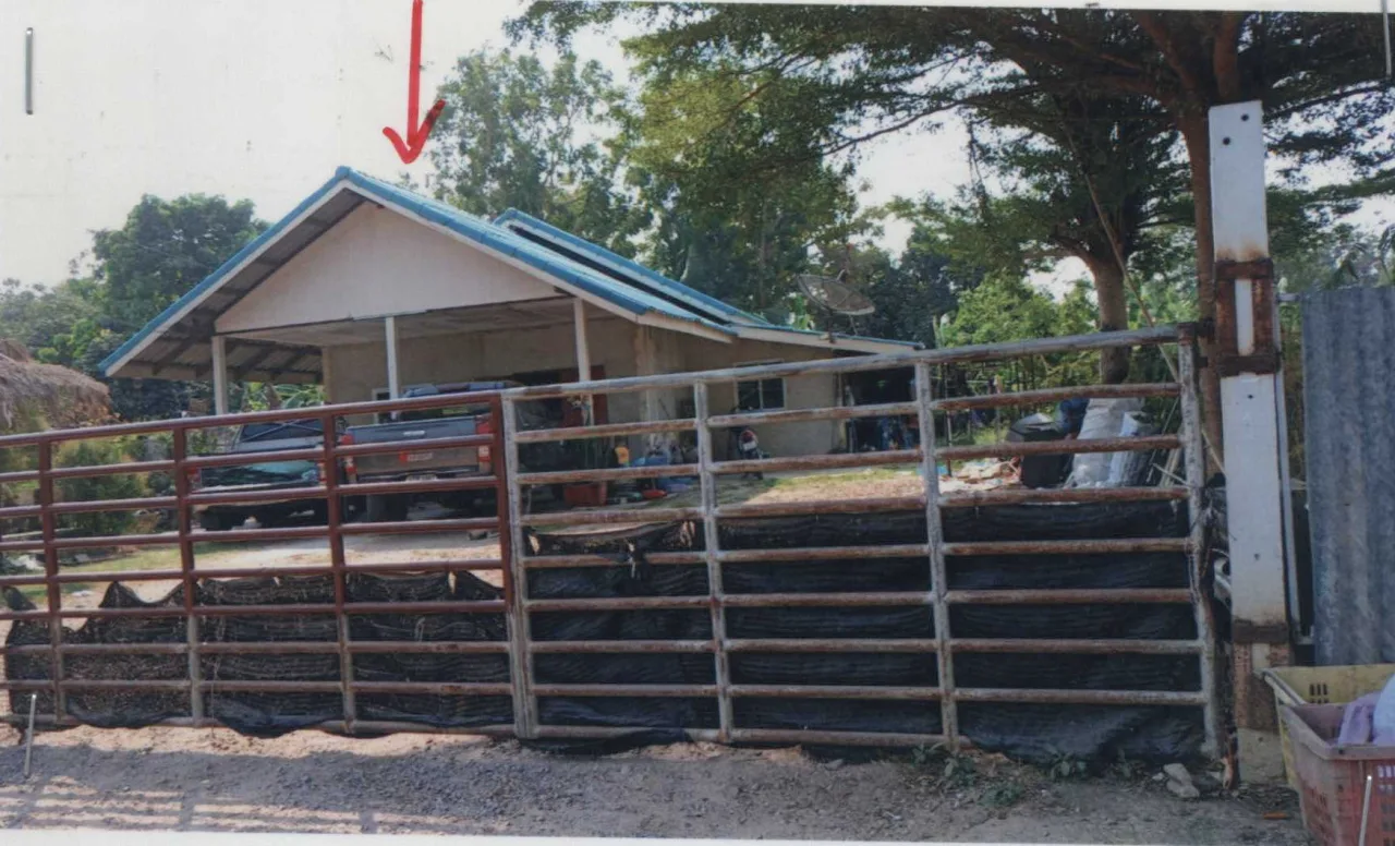 ขายทอดตลาด ที่ดินพร้อมสิ่งปลูกสร้าง ต.มาบปลาเค้า อ.ท่ายาง จ.เพชรบุรี