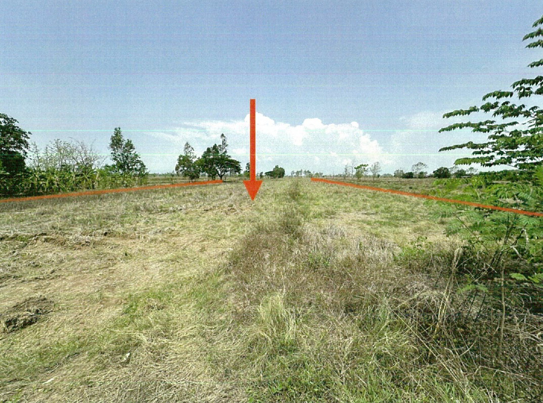 ขายทอดตลาด ที่ดินว่างเปล่า ต.บุญเกิด อ.ดอกคำใต้ จ.พะเยา