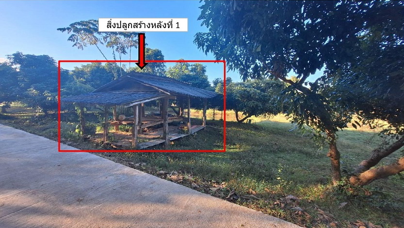 ขายทอดตลาด ที่ดินพร้อมสิ่งปลูกสร้าง ต.บ้านมาง อ.เชียงม่วน จ.พะเยา